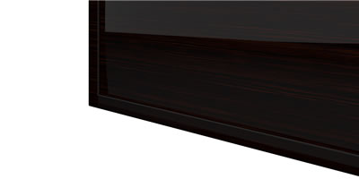 FELIX SCHWAKE CABINET II Interior precious wood macassar customized bespoke