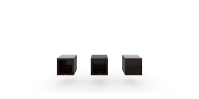 FELIX SCHWAKE SHELF I X I cube floor standing precious wood macassar ebony black individually customized